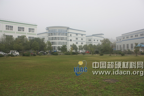 超硬材料技術發展論壇與會人員參觀黑旋風鋸業