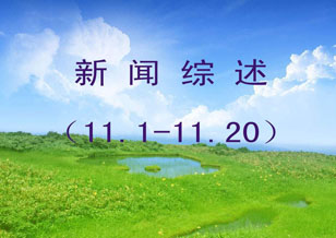 新聞綜述（11.1—11.20）