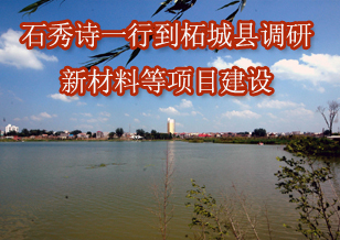 石秀詩(shī)一行到柘城縣調(diào)研新材料等項(xiàng)目建設(shè)