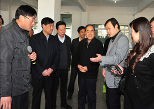 石秀詩一行蒞臨惠豐金剛石調(diào)研工作