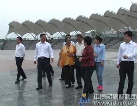 美國金剛石合成項目和鉆石制造落戶南通