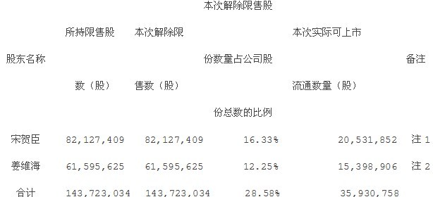 新大新：公開發行前已發行股份上市流通公告