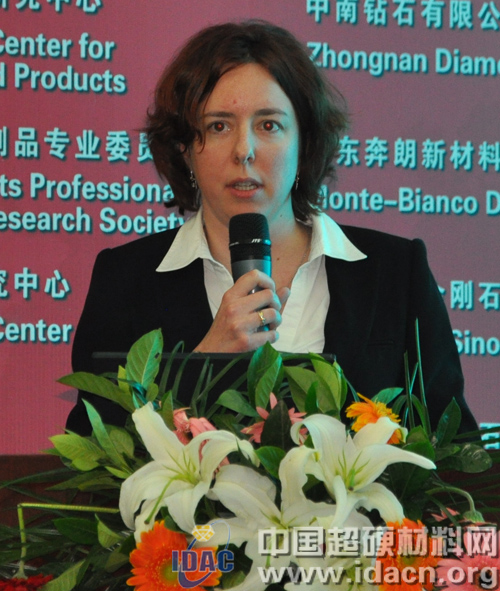 第六屆超硬材料國際會議學術報告（一）