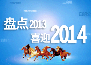 盤點2013 喜迎2014