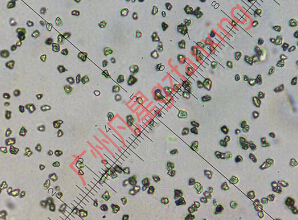 納米級微米級金剛石 nanodiamond