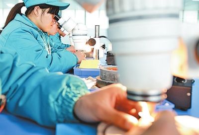 武陟縣超硬材料產業集聚俏爭春 
