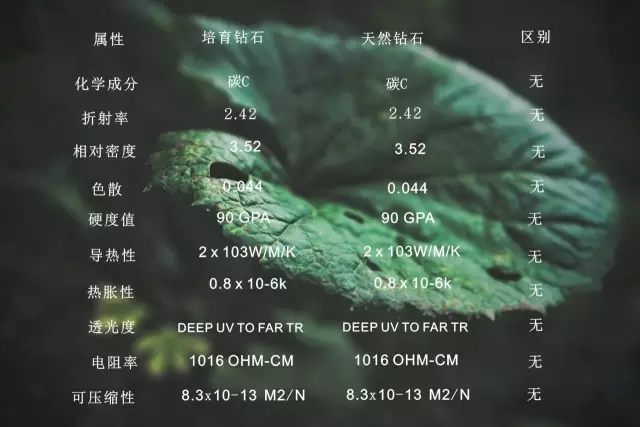 “十年有愛 最美情侶”有獎?wù)骷顒娱_始