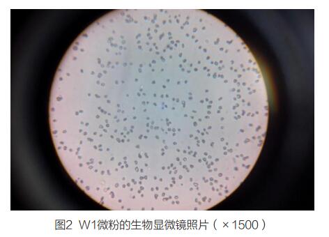 金剛石微粉的粒度質量檢驗