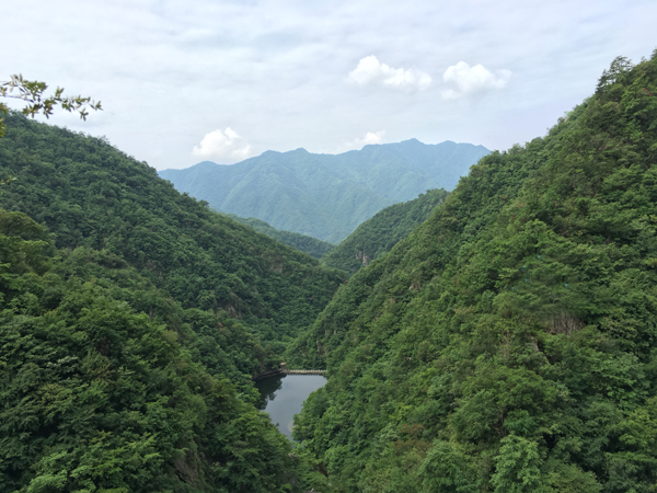 協會網站攜手西峽泰祥挺進銀樹溝歡樂游