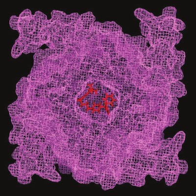 科學家顯微攝影藝術擷英