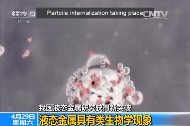 新突破！中國科學家發現液態金屬類生物學現象