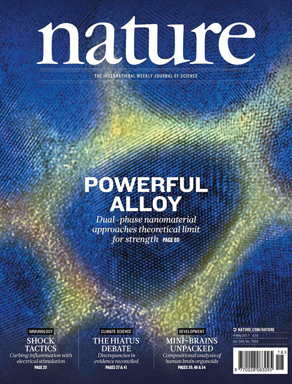 中國團隊研制出最強鎂合金材料 登上nature封面