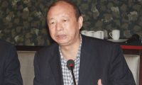鄒文俊：對專家委員會的工作建議