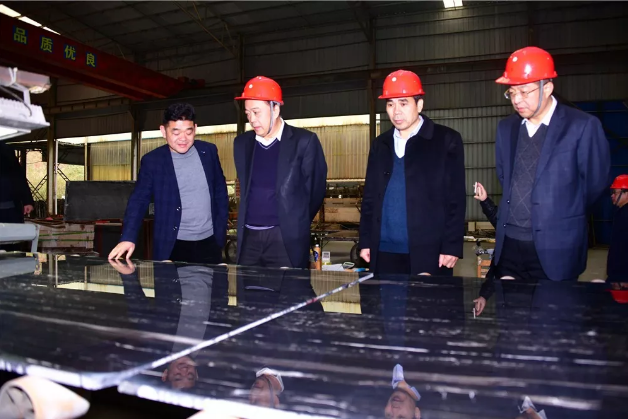 中國煤炭地質總局領導到廣西忻城考察石材產業