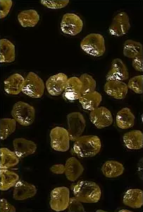 【推薦產品】柘城金鑫金剛石微粉