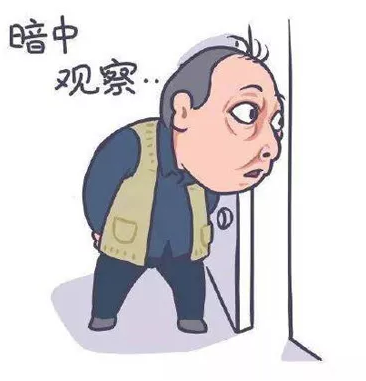 法國電視臺前方報道，豫金剛石又雙叒叕上電視了