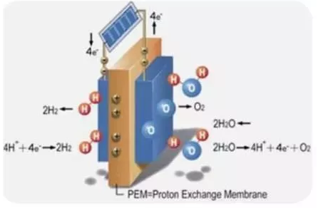 Proton PEM技術知多少？