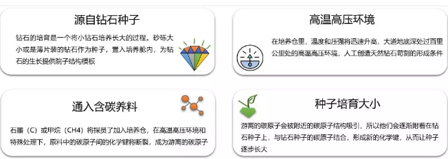 培育鉆石之崛起，科技改變未來