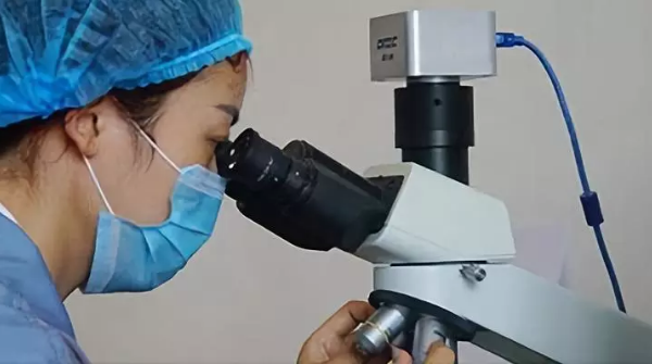 加快科技成果轉(zhuǎn)化 厚德鉆石與河南省技術(shù)產(chǎn)權(quán)交易所達(dá)成戰(zhàn)略合作