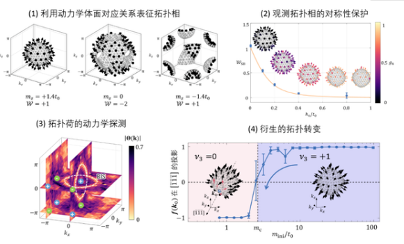 中國科學技術大學在金剛石量子模擬研究領域取得新進展！