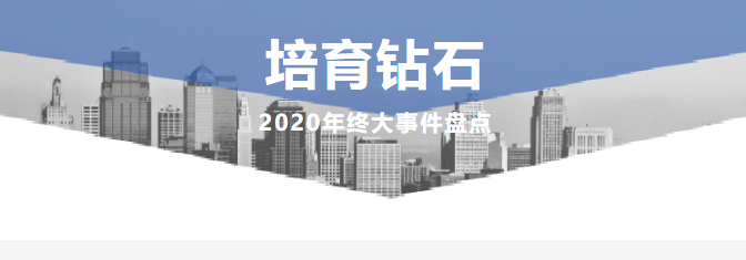 盤點2020年培育鉆石大事件