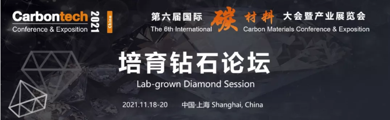 克拉自由！第六屆國際碳材料大會暨產業展覽會培育鉆石論壇