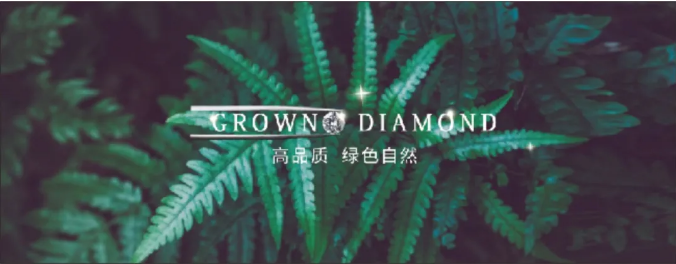 時尚原力 | 沃爾德開啟培育鉆體驗之風