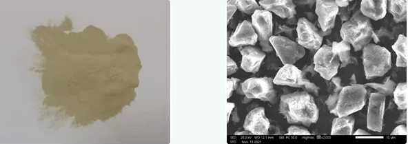 微信截圖_20211117100944.png