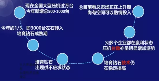 超硬材料學術(shù)帶頭人解讀培育鉆石的戰(zhàn)略思考與未來