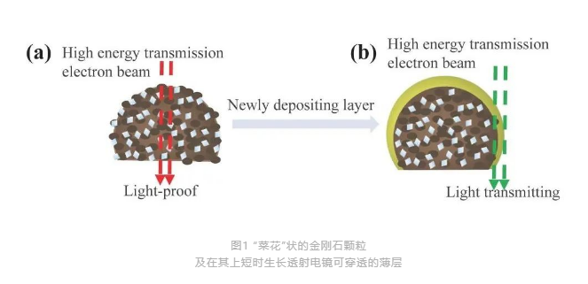 低壓點“石”成“鉆”！浙工大胡曉君教授顛覆性成果獲《PNAS》報道！