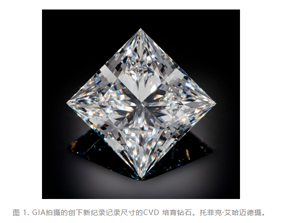 培育鉆石世界新紀錄與發展