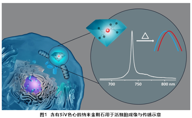 微信截圖_20220505082257.png