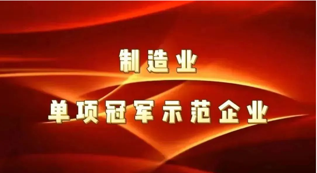 中南鉆石公司再次通過制造業(yè)單項(xiàng)冠軍示范企業(yè)復(fù)核