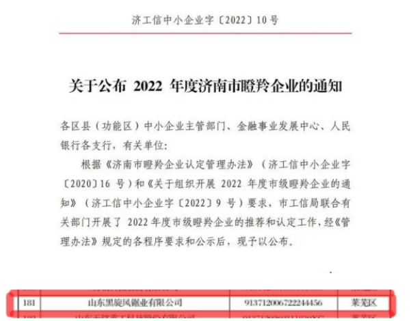 山東黑旋風(fēng)鋸業(yè)有限公司入選2022年度濟(jì)南市“瞪羚企業(yè)”