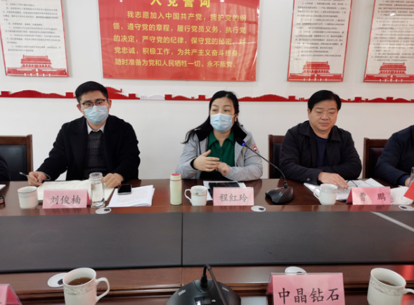 南陽召開超硬材料產(chǎn)業(yè)鏈政銀企對接暨企業(yè)上市督導(dǎo)會