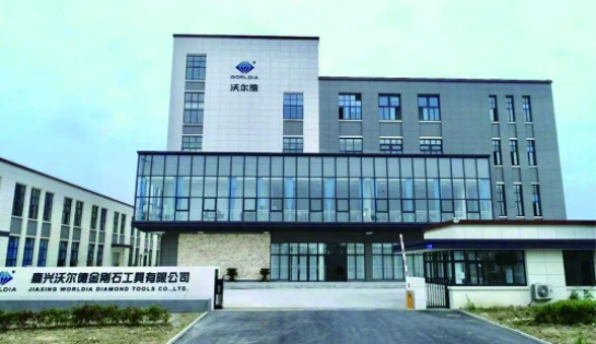 沃爾德：“野心勃勃”搶占未來發展新風口