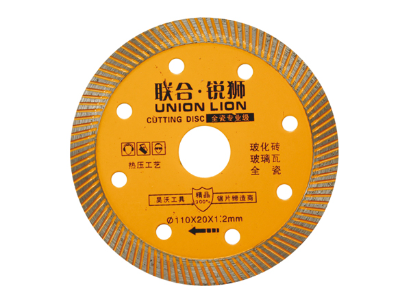 110昊沃聯(lián)合銳獅全瓷專業(yè)級.jpg