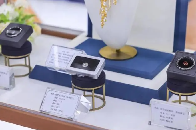 河南培育鉆石組團(tuán)加盟南京車展，誓做“下一個新能源車”