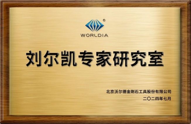 大膽猜想 嚴(yán)謹(jǐn)論證 | 專訪沃爾德-劉爾凱專家研究室